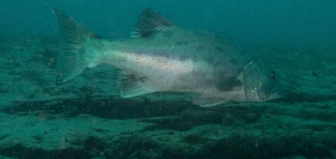 606e6a39-b852-4292-b334-0ec4c7738e5c