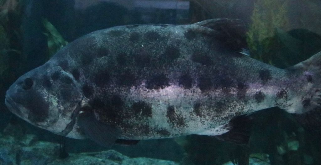 cd52d1f8-088b-4338-9b96-4b71b5af59f1