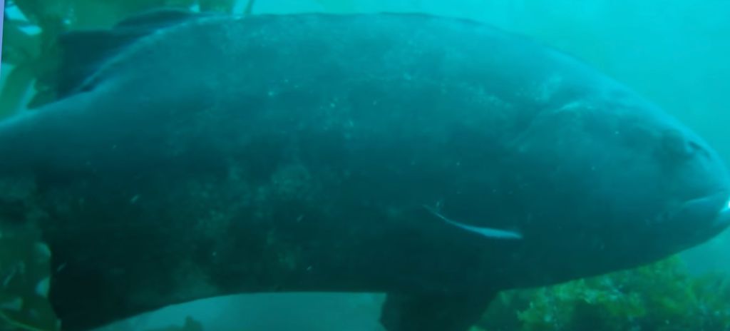 5c7a418b-2b3f-4c38-8bae-e0ca5f9270a3