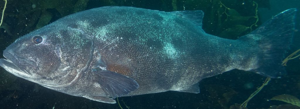 1fcd4087-e84f-4b3a-949c-f5daea0160c3