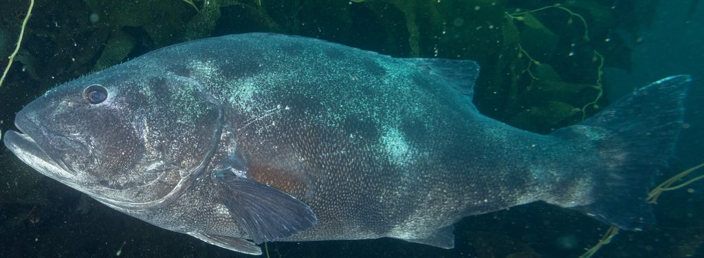 1fcd4087-e84f-4b3a-949c-f5daea0160c3