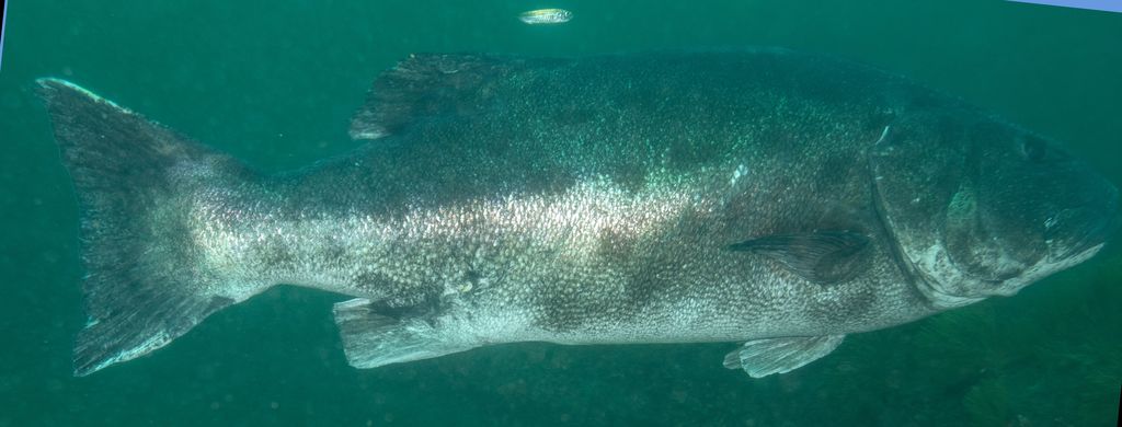 dd73f8b0-9d4e-4037-9be7-b5b8a7eae61b