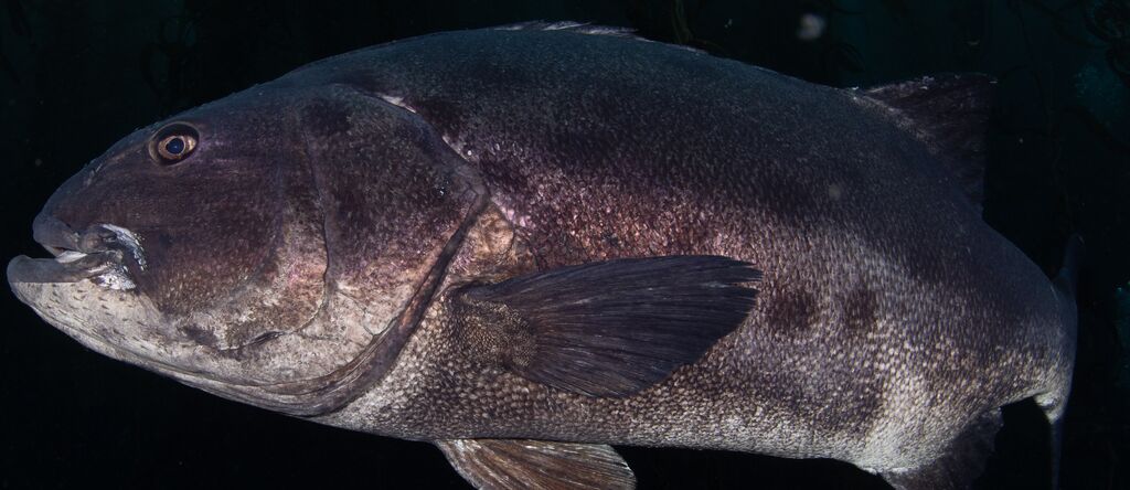 4031a8fb-1ec4-40db-bee8-61c13d4edbcd