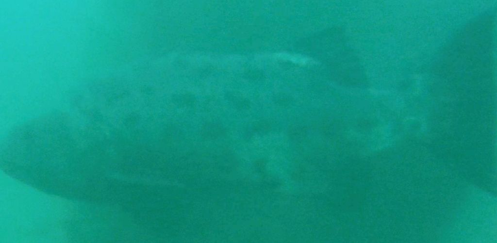 4f6628b0-5332-4f9c-934d-db346a6976ce