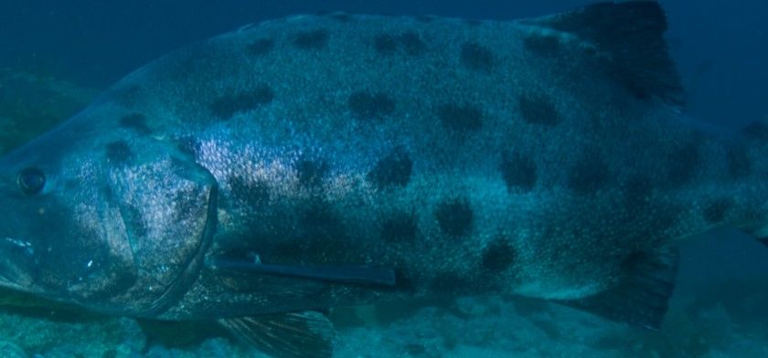 f34941be-9e61-4f43-a147-ce23336c8267