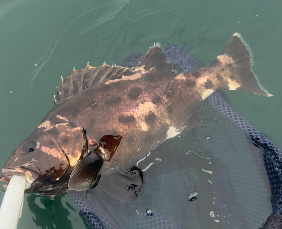 5df96bf7-40ce-411f-9ccc-7941e70e0e1c