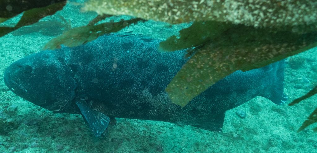 4581a66d-d18e-4478-a833-6dfd40daa4c5