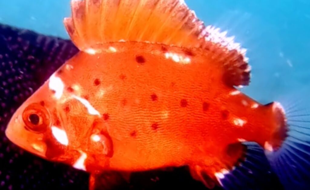 b27de2b9-b67e-42f6-a7ee-d90236108723