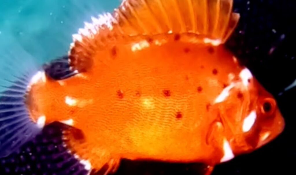 b27de2b9-b67e-42f6-a7ee-d90236108723