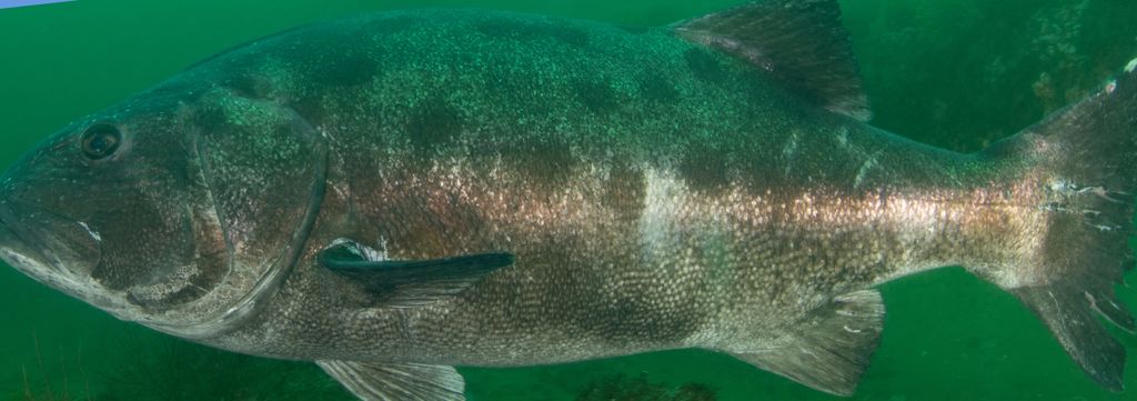 9484a25d-ff50-4897-bbb5-200db0d246e7