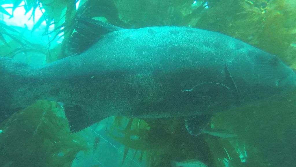 d166731a-96b9-41df-916c-8837cc55c94d