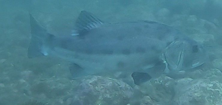 052efcdf-4ef4-4e5a-b281-d7e8b054445f