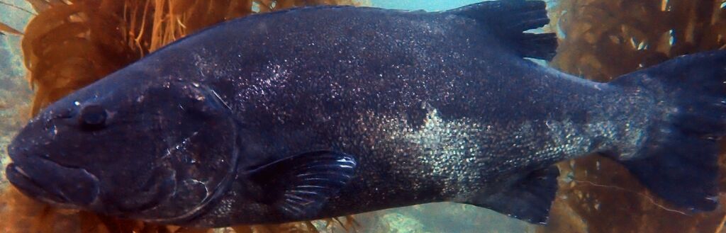 7a5bd8b2-8907-4ebd-866a-940b81dffaad