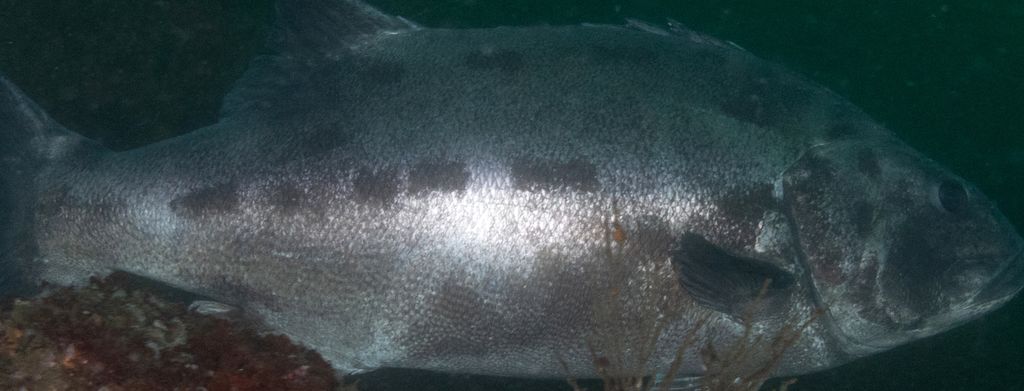 1b410f89-7941-4e0f-a761-ece07b7da9d8