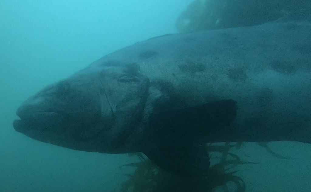 5ea8baf6-56ef-4b94-a93c-a450ac81f4f0