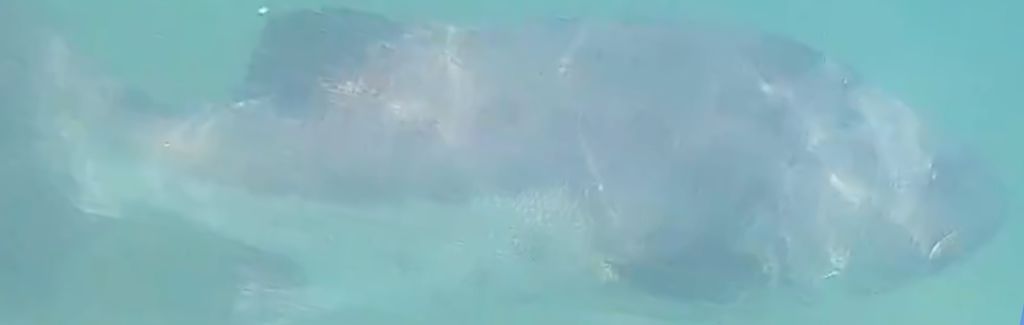 ce0a19bf-4a4b-4720-93b4-0ebf9f52ceab