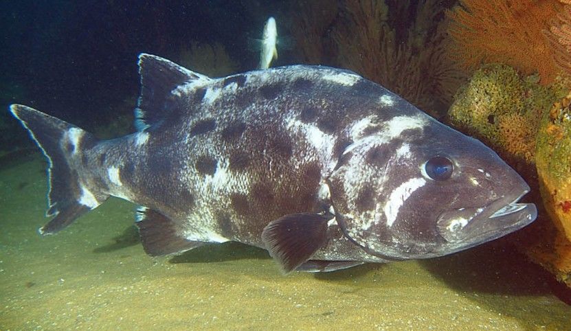 d18c3942-c896-476e-bfca-8aef39b081b7