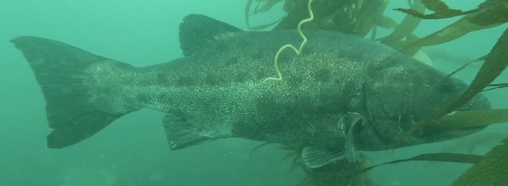 73f5c444-4c08-4944-a791-43fa9725fde7