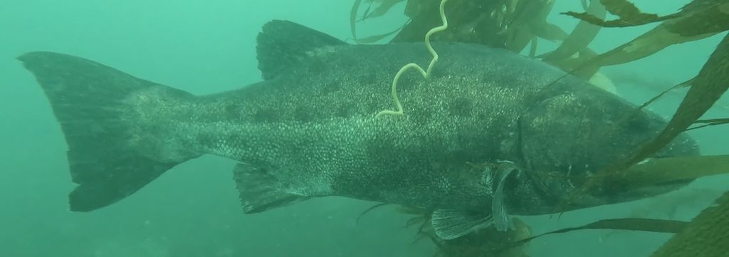 73f5c444-4c08-4944-a791-43fa9725fde7