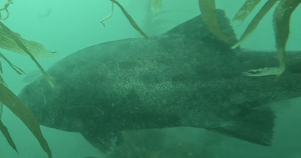 73f5c444-4c08-4944-a791-43fa9725fde7