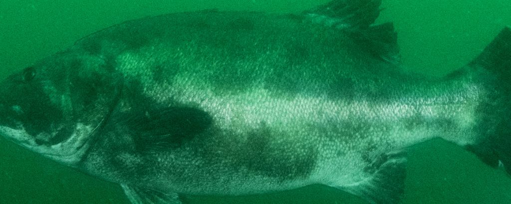 4f2b984b-7303-458e-80d0-6bccab2b1517