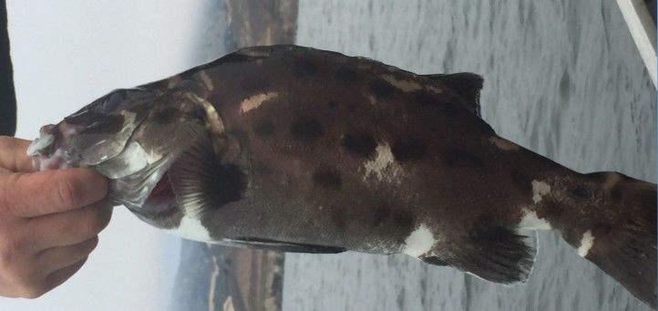 57c020bb-0460-4022-8926-4e4a6acee591