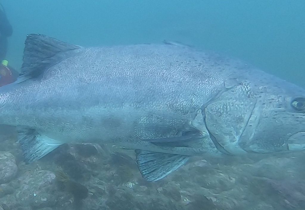 975d569b-8318-40ee-8b09-72d7d2118f18