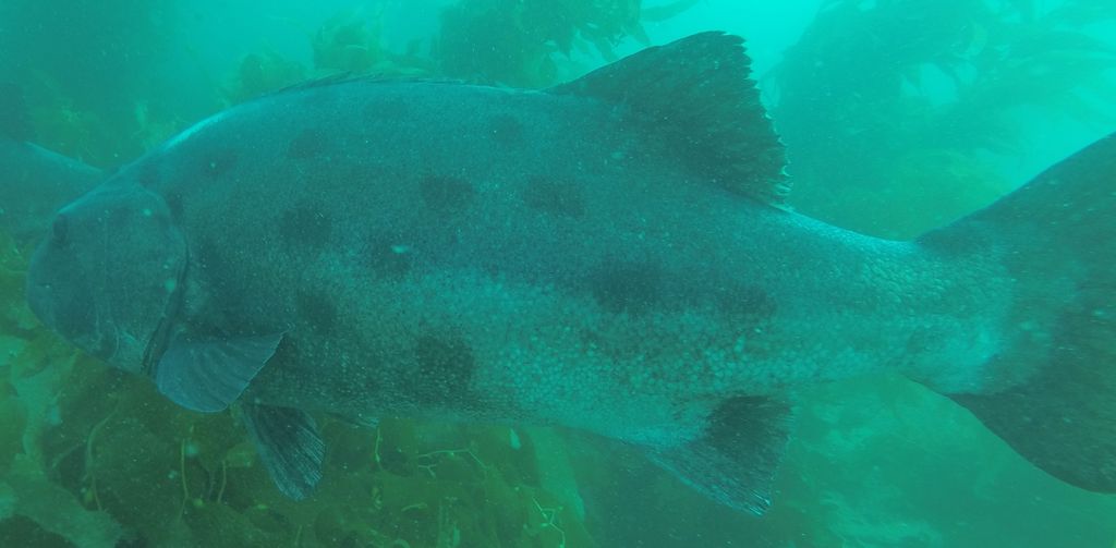 3b95c298-e2e9-4acc-a075-edc9c1b881ac