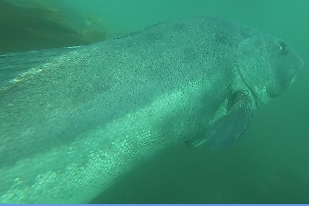 923ae4a7-256a-4dbe-83d4-59d3dc0097a2