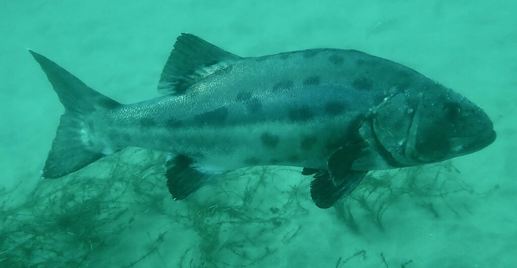 36a7d8c6-5e9d-4507-997e-3c55b85fa057