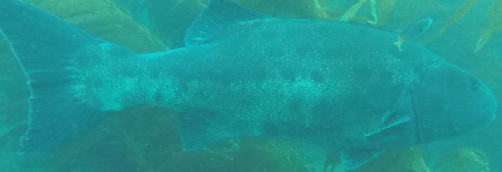 7fdf76f5-8f47-4fd3-b6f1-9e4c29e72abc