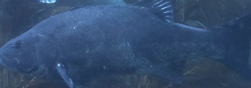 4a424670-dc2d-4b3b-8269-1111d1ac62e8