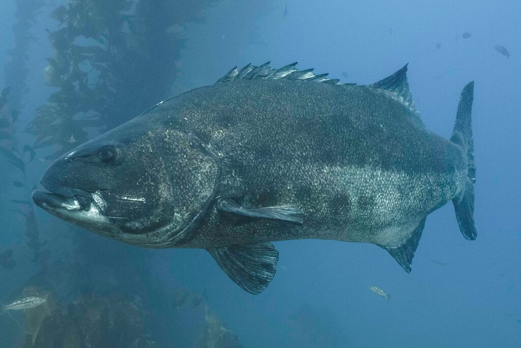 9447d923-9a09-4a7e-b511-f3caa411c47f