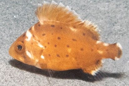 5258648f-5f76-4b86-b2de-d687afcb487b