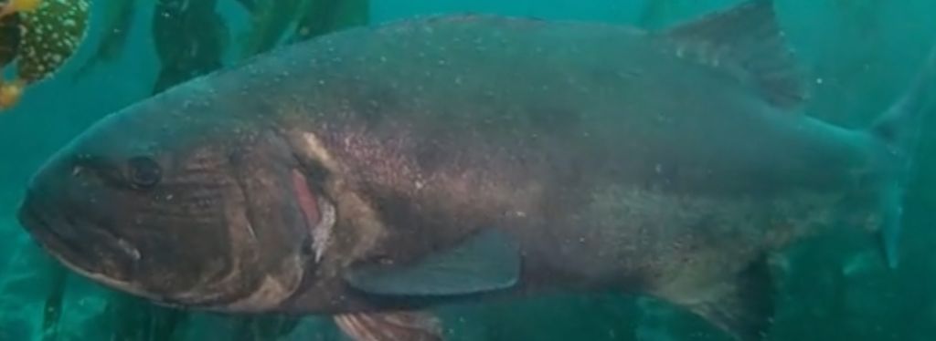 63086e13-6436-4846-b510-da19a5415bc1