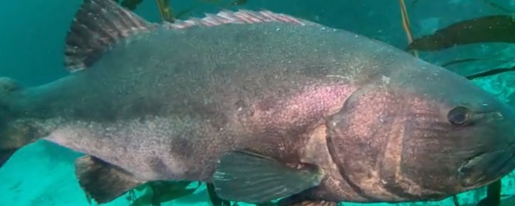 63086e13-6436-4846-b510-da19a5415bc1