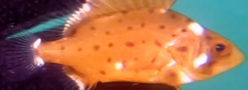 93b3004e-82d7-4969-a6bf-12be2a2a2ae8