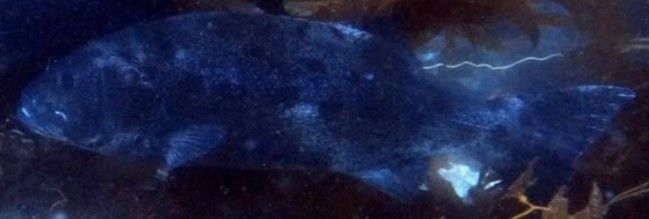 47649a6a-0ab8-4302-96e7-68ce6066902c