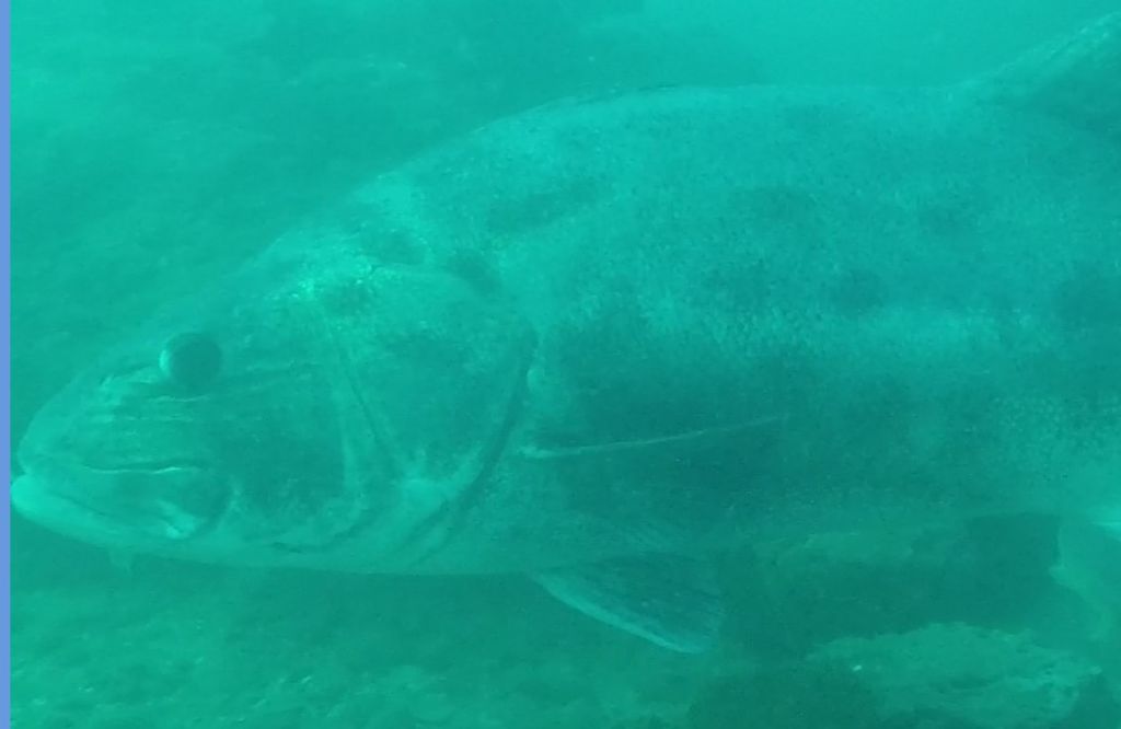 3e67fe97-b89f-4cec-97d2-1af86be77cad