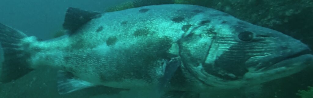 a2d9d500-f4d3-472c-b2a1-9e67551f41fe