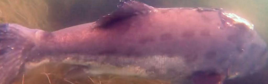 92072ffd-d885-4e68-a61a-79477556b154