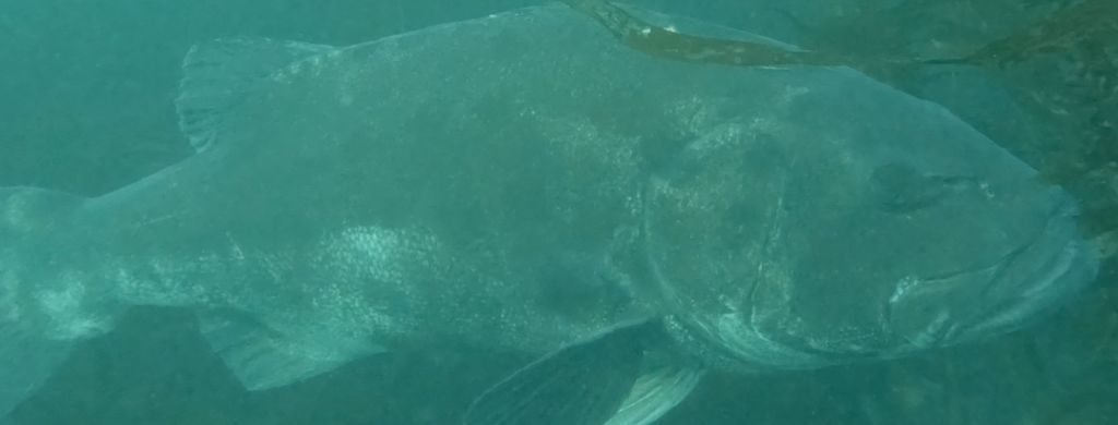 92072ffd-d885-4e68-a61a-79477556b154