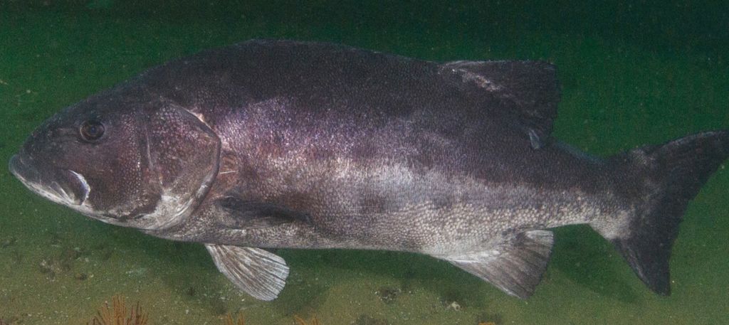 6adb1d60-0aa6-4760-a99f-3264270c26c4