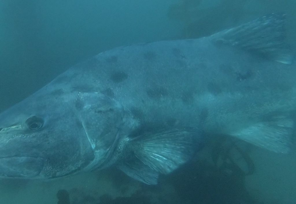 5e26d687-1d8f-424c-a07f-ff7c9a9281a2