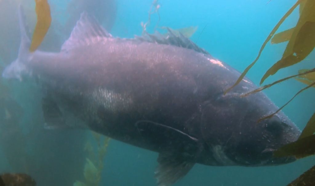 92072ffd-d885-4e68-a61a-79477556b154