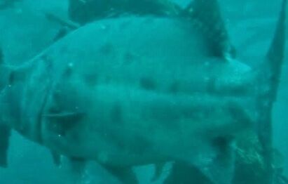 3166fe2f-cddb-4c08-b46f-17756a157029