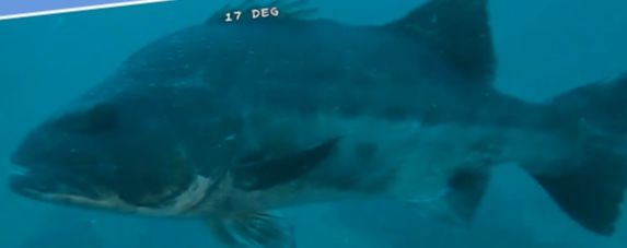 ce531685-8948-44dc-a52c-6d04efc16f61