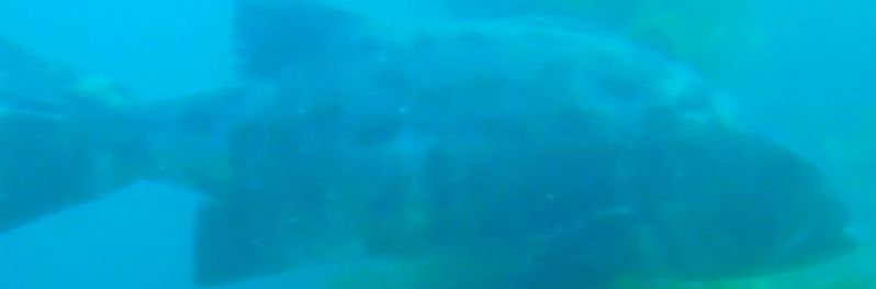 8ab395ed-bacd-4599-aad9-7bb4e2652e26