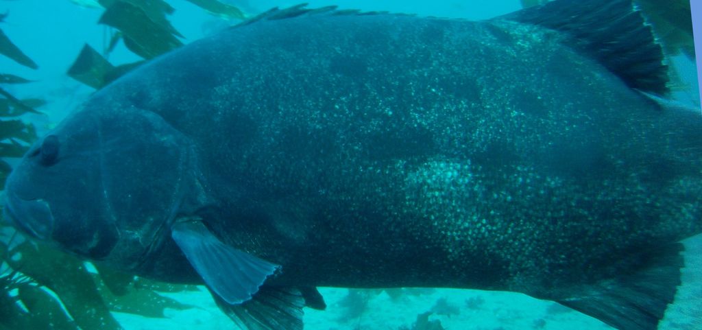 47649a6a-0ab8-4302-96e7-68ce6066902c