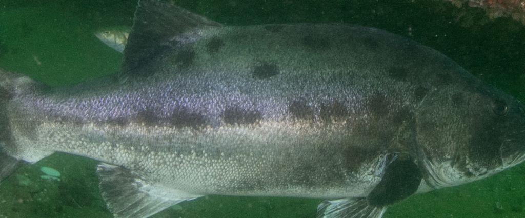 524abb5d-6ccc-42ce-a7c5-3d5b5a6afbb2